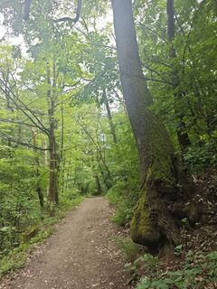 Photo de Katona Ferk Mariann le long du parcours