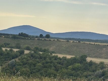 Fotografija s spletne strani Várhelyi Alicia na poti