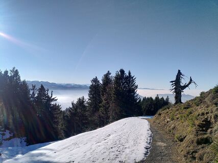 Fotografia z Robert Müller na trase