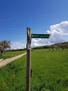 Wegweiser
