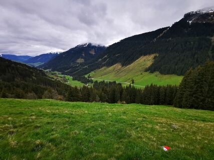 Foto von Dávid Alföldy entlang der Tour