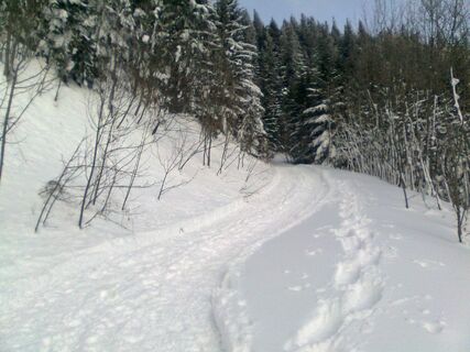 Schneeschuhwandern auf den Faden am Schneeberg