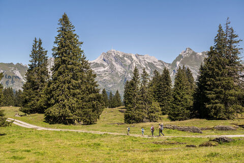 Wanderweg Sagenweg