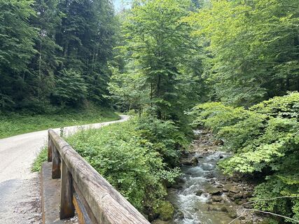 Anger_Stoisseralm