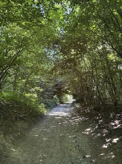 Photo de Moonytiger le long du parcours
