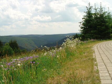 Blick ins Tränkbachtal - Frauenwald