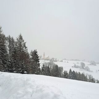 Anterivo