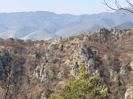 Fotografija s spletne strani Gerhard Piglmann na poti