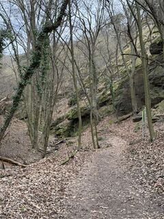 Fotografija s spletne strani RoKo Activity - Guide na poti