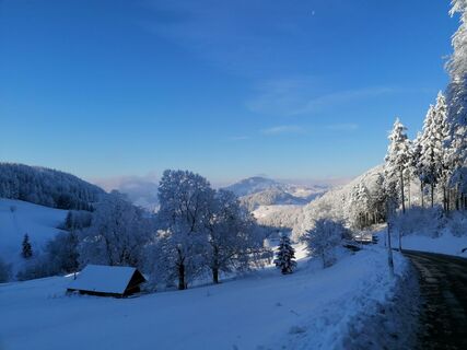 Foto von luyyy entlang der Tour
