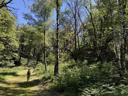 Photo de Rico Vincenz le long du parcours