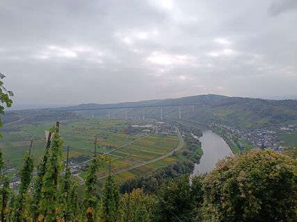 Fotografija s spletne strani Edit Szoboszlay na poti