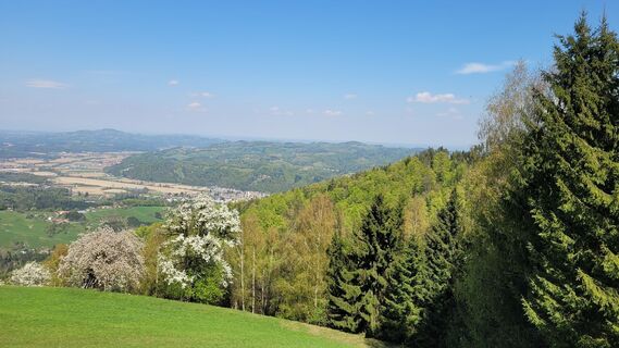 Fotografia z Juliane Jarke na trase