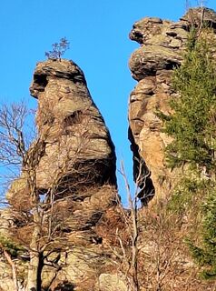 Foto von Mimi entlang der Tour