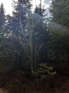 Fotografie z Christian Burghard na trase