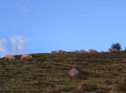 Foto von MRDL entlang der Tour