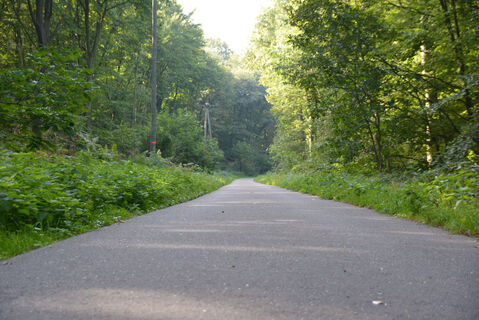 Weg durch den Reichswald