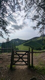 Fotografija s spletne strani Klaus Lehner na poti