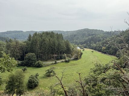 Fotografia z Koen De Wit na trase