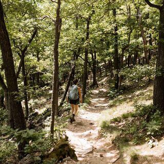 durch den Wald