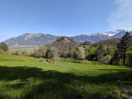 Fotografia z Jens Mehlhorn na trase