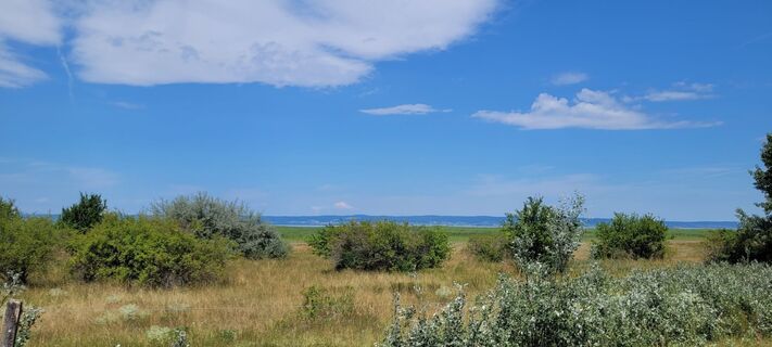 Foto de Nicky a lo largo del recorrido