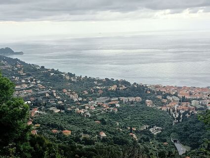 Fotografija s spletne strani simone ravasi na poti