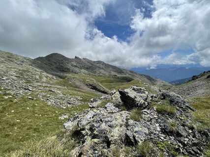 Fotografija s spletne strani David na poti