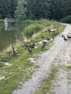 Foto von Monika Diem entlang der Tour