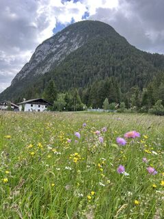 Foto von Heikoala entlang der Tour