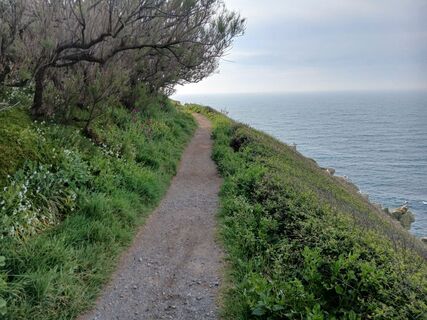 Photo de Martin Lobenwein le long du parcours