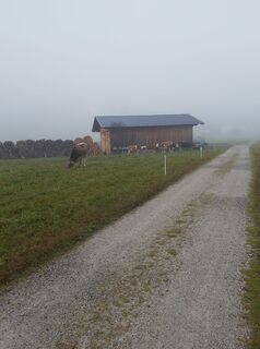 Foto von Henk de Vries entlang der Tour