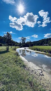 Photo de Blue Chili le long du parcours