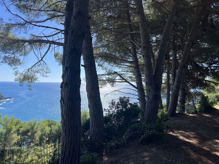 Fotografija s spletne strani Alexandra von Rheinbaben na poti