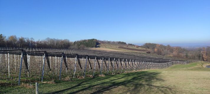 Fotografija s spletne strani Làszló Visi na poti