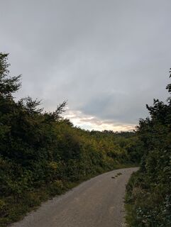 Photo de HOJ_09 le long du parcours