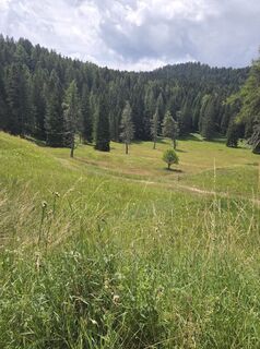 Foto von Oliver Hamsch entlang der Tour