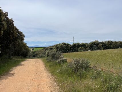 Photo de Andor Kulik le long du parcours