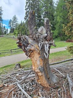 Foto von Jaap Rozeboom entlang der Tour