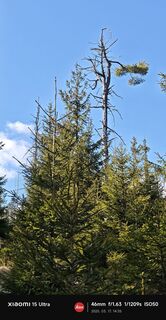 Foto från damilaja242 under resans gång