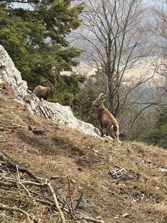 Zdjęcie z Georgiamartin0815 wzdłuż trasy