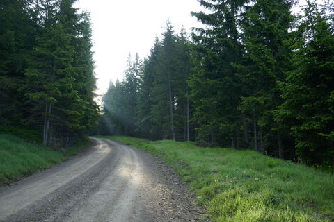 Anfangs entlang von Forststraßen