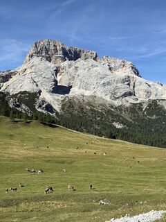 Fotografija s spletne strani Gianluca Bucciantini na poti