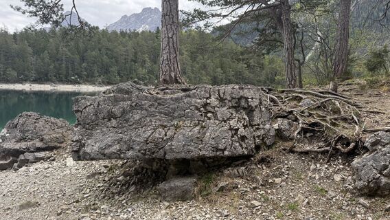 Fotografia z Torsten Scholz na trase