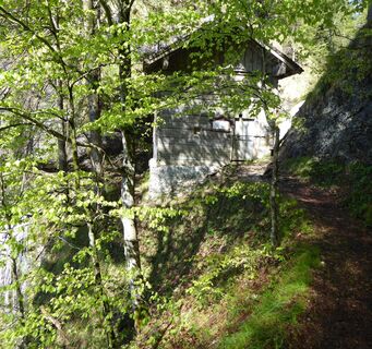 Wanderweg in der Fuschlseeregion