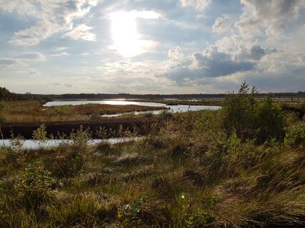 Moorlandschaft
