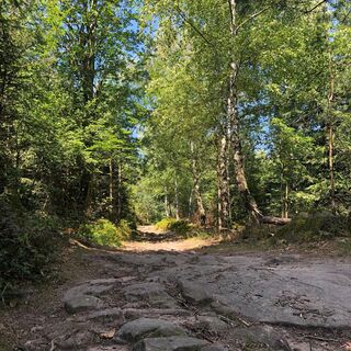 Der Pfad führt uns vom Bernstein weiter in Richtung Mauzenstein.