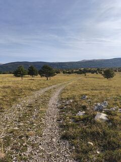 Fotografia z Igor Vuković na trase