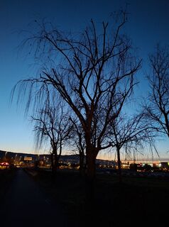 Zdjęcie z Bob Moh wzdłuż trasy