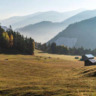 Staderas - Val Gronda - Salums - Laax
